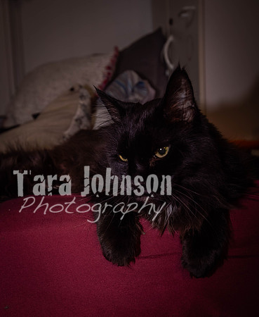 Grace. Senior (455 of 457)