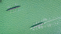 2025 OLSM Crew - Fall Regatta - TJP (60 of 68)
