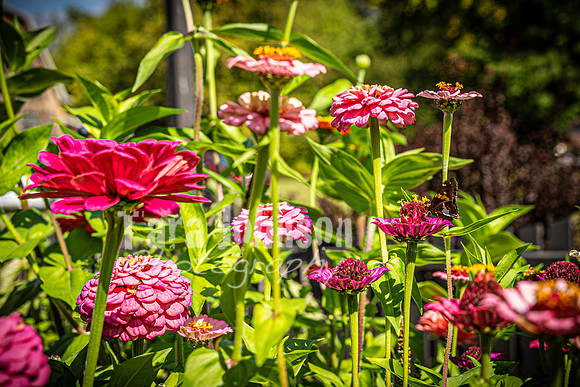 August & Sara - The Venue - TJP (6 of 52)