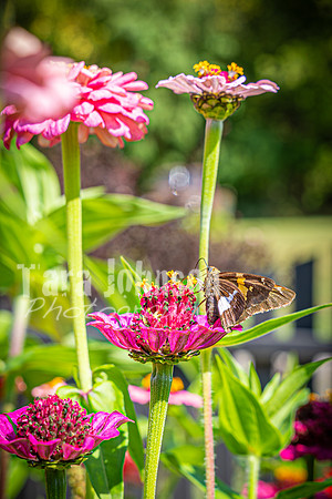 August & Sara - The Venue - TJP (7 of 52)