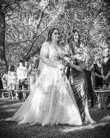 August & Sara - The Complete Collection - BW - TJP (162 of 633)