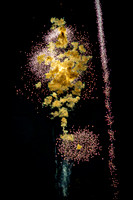 2025 LHS Community Fireworks - TJP (1 of 76)