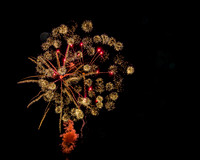 2025 LHS Community Fireworks - TJP (3 of 76)