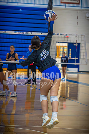 25 LHS Vball - #15 Nicky Powers - TJP (21 of 25)