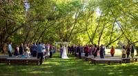 Wedding.9.27.25 (390 of 879)