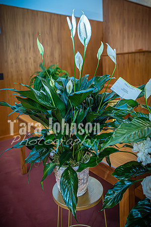 Priscilla Gale King - TJP (6 of 258)