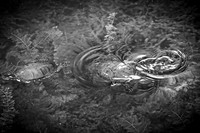 Epping & Cholish Family @ Indian Springs - BW - TJP (17 of 43)