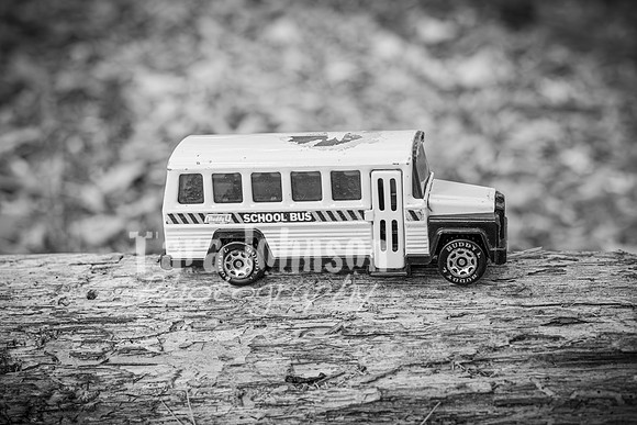 2025 Briggs Family @ Dodge Park #5 - BW - TJP (80 of 85)