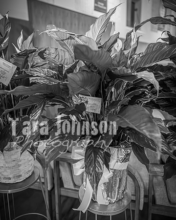 Priscilla Gale King - BW - TJP (10 of 258)