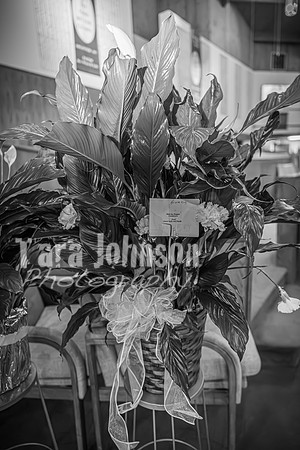 Priscilla Gale King - BW - TJP (11 of 258)