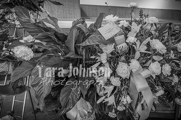 Priscilla Gale King - BW - TJP (14 of 258)