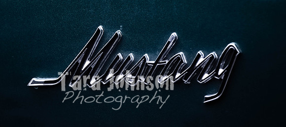 Milford.Car.Show (16 of 22)