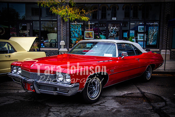 Milford.Car.Show (18 of 22)