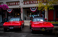 Milford.Car.Show (19 of 22)
