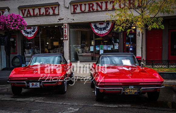 Milford.Car.Show (19 of 22)