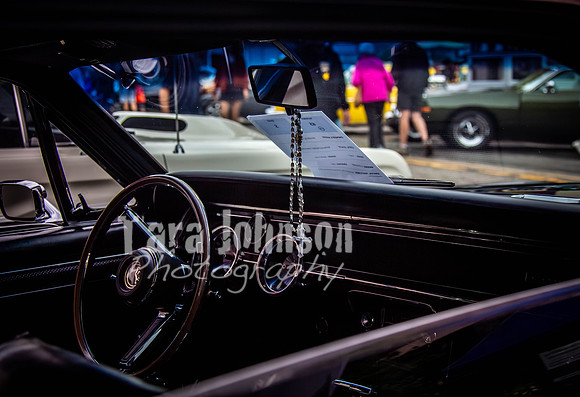Milford.Car.Show (21 of 22)
