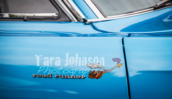 Milford.Car.Show (1 of 22)