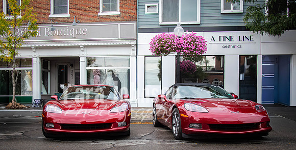 Milford.Car.Show (4 of 22)