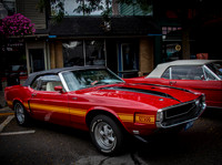 Milford.Car.Show (10 of 22)