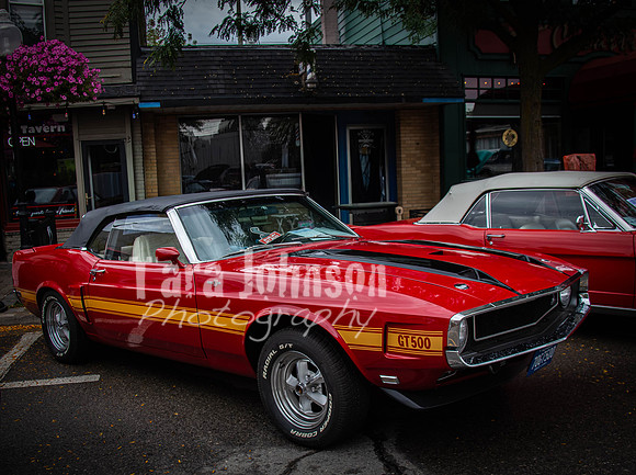 Milford.Car.Show (10 of 22)