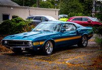 Milford.Car.Show (14 of 22)