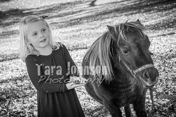 Cortellini Family - TJP (46 of 143)