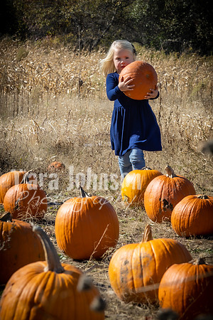 Cortellini Family - Color - TJP (12 of 143)