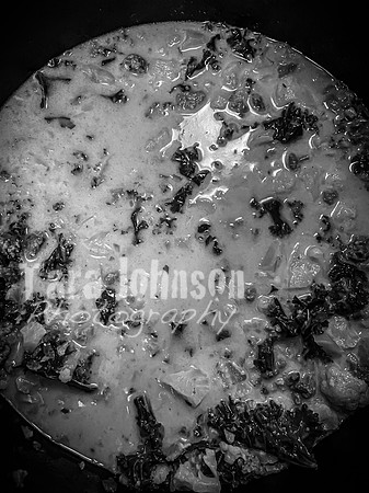 Cortellini Family - TJP (123 of 143)