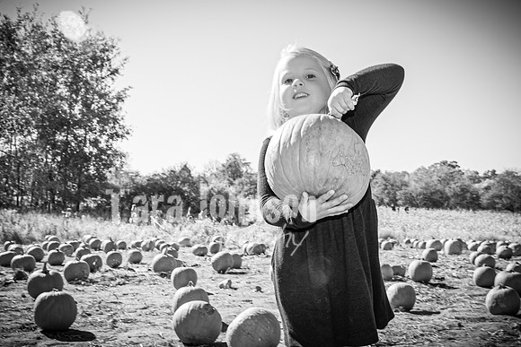 Cortellini Family - TJP (6 of 143)