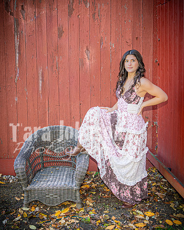 Marah Ariss @ Byer's Homestead & Dodge Park #5 - Color - TJP (5 of 58)