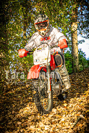 Evan McDiarmid @ Cedar Island Lake - Color - TJP (47 of 85)