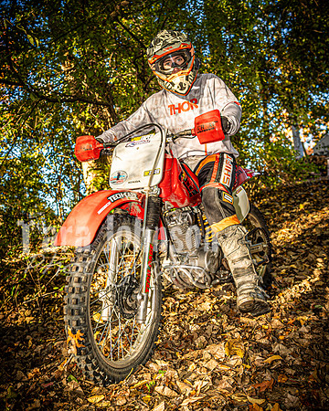 Evan McDiarmid @ Cedar Island Lake - Color - TJP (48 of 85)
