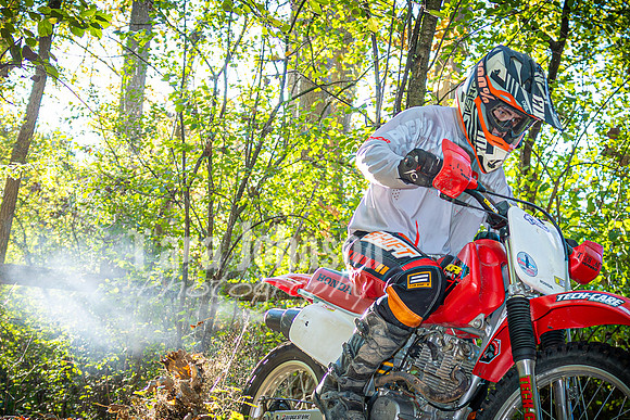 Evan McDiarmid @ Cedar Island Lake - Color - TJP (59 of 85)