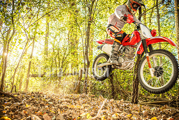 Evan McDiarmid @ Cedar Island Lake - Color - TJP (53 of 85)