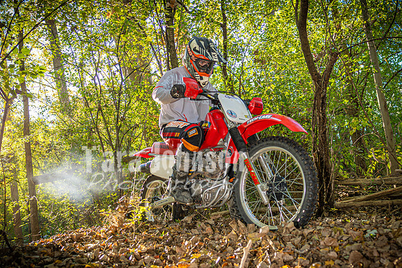 Evan McDiarmid @ Cedar Island Lake - Color - TJP (58 of 85)