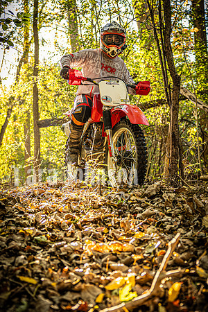 Evan McDiarmid @ Cedar Island Lake - Color - TJP (57 of 85)