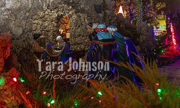 2025 Christmas Tree Lighting - TJP (2 of 17)