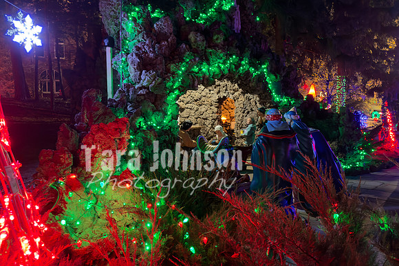 2025 Christmas Tree Lighting - TJP (3 of 17)