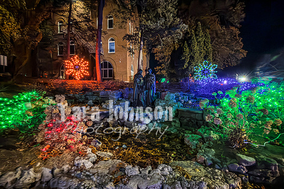 2025 Christmas Tree Lighting - TJP (4 of 17)