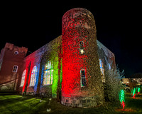 2025 Christmas Tree Lighting - TJP (8 of 17)