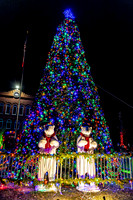 2025 Christmas Tree Lighting - TJP (5 of 17)