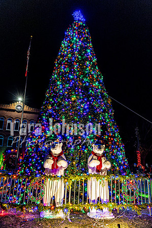 2025 Christmas Tree Lighting - TJP (5 of 17)