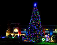 2025 Christmas Tree Lighting - TJP (7 of 17)