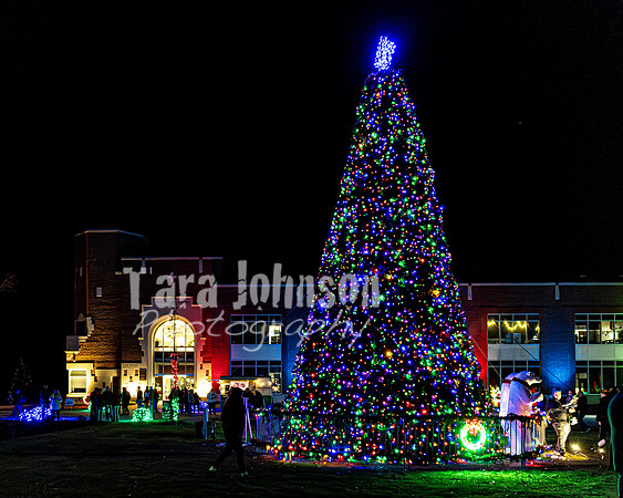 2025 Christmas Tree Lighting - TJP (7 of 17)