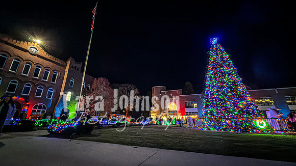 2025 Christmas Tree Lighting - TJP (10 of 17)