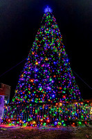 2025 Christmas Tree Lighting - TJP (6 of 17)