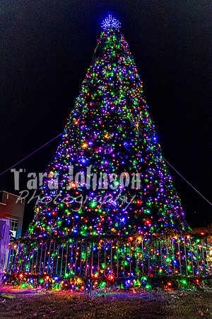 2025 Christmas Tree Lighting - TJP (6 of 17)