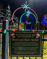 2025 Christmas Tree Lighting - TJP (16 of 17)