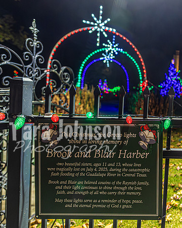 2025 Christmas Tree Lighting - TJP (16 of 17)