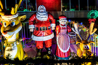 2025 Christmas Tree Lighting - TJP (15 of 17)